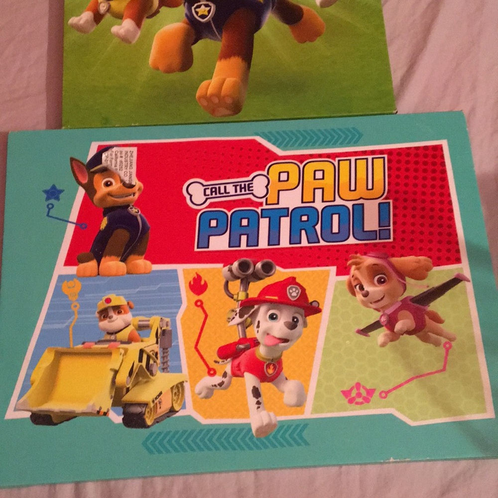 Paw patrol room decor